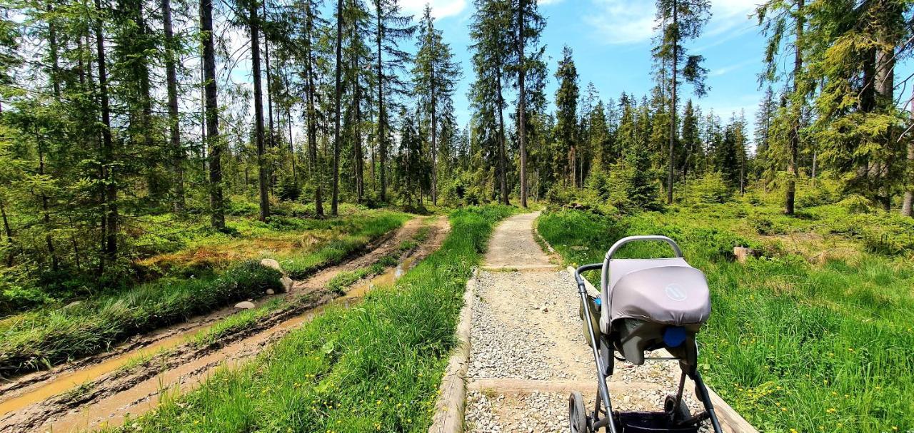 Eco Domek Z Duzym Ogrodem I Widokiem Murzasichle Luaran gambar