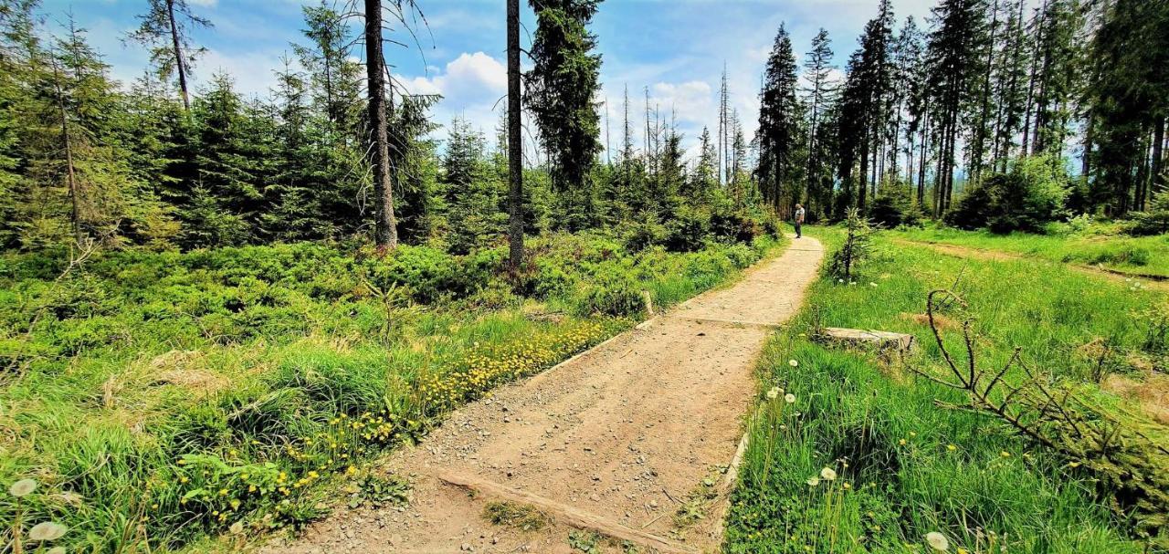 Eco Domek Z Duzym Ogrodem I Widokiem Murzasichle Luaran gambar