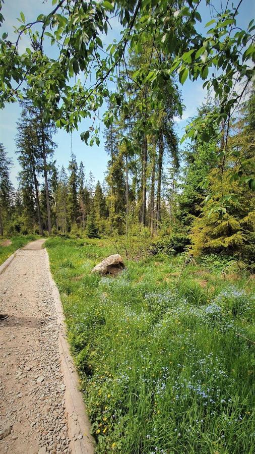Eco Domek Z Duzym Ogrodem I Widokiem Murzasichle Luaran gambar