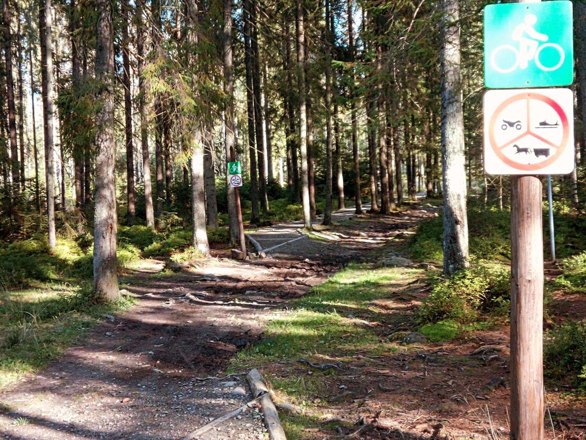 Eco Domek Z Duzym Ogrodem I Widokiem Murzasichle Luaran gambar